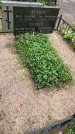 Захоронение ID 3570289