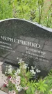 Захоронение ID 3569834