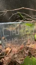 Захоронение ID 3569873