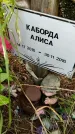 Захоронение ID 3569891