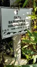 Захоронение ID 3569892