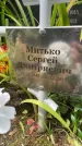 Захоронение ID 3569932