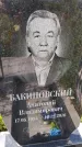 Захоронение ID 3569966