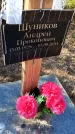 Захоронение ID 3570111