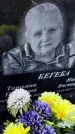 Захоронение ID 3570402