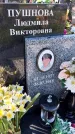Захоронение ID 3570478