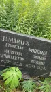 Захоронение ID 3570572