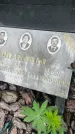 Захоронение ID 3570609