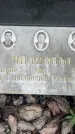 Захоронение ID 3570610