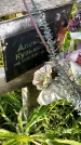 Захоронение ID 3570663