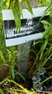 Захоронение ID 3570667