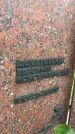 Захоронение ID 3570733