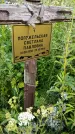 Захоронение ID 3570770
