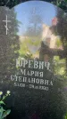 Захоронение ID 3570782