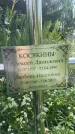Захоронение ID 3570895