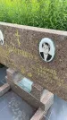 Захоронение ID 3570910