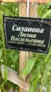 Захоронение ID 3571007