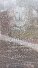 Захоронение ID 3571030