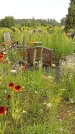 Захоронение ID 3571193