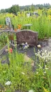 Захоронение ID 3571194