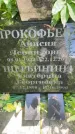 Захоронение ID 3571332