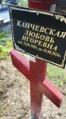 Захоронение ID 3571420