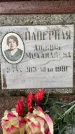 Захоронение ID 3571496
