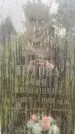 Захоронение ID 3571512