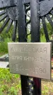 Захоронение ID 3571592