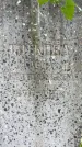 Захоронение ID 3571625