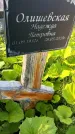 Захоронение ID 3571658