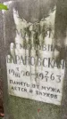 Захоронение ID 3571821