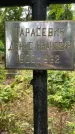 Захоронение ID 3571830