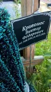 Захоронение ID 3571863