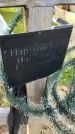 Захоронение ID 3571989