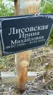 Захоронение ID 3572002