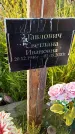 Захоронение ID 3572014
