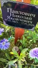Захоронение ID 3572015