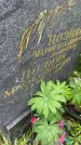 Захоронение ID 3572071