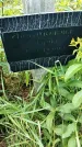 Захоронение ID 3572205