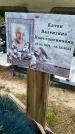 Захоронение ID 3572220