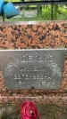 Захоронение ID 3572311