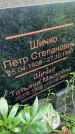 Захоронение ID 3572337