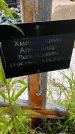 Захоронение ID 3572361