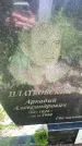 Захоронение ID 3572411