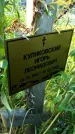 Захоронение ID 3572463