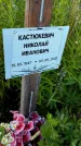 Захоронение ID 3572542