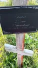 Захоронение ID 3572558