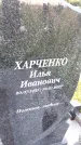 Захоронение ID 3572574