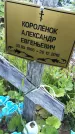 Захоронение ID 3572643